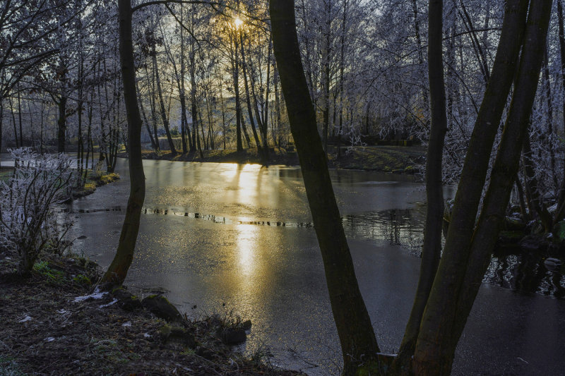  Morning Frost