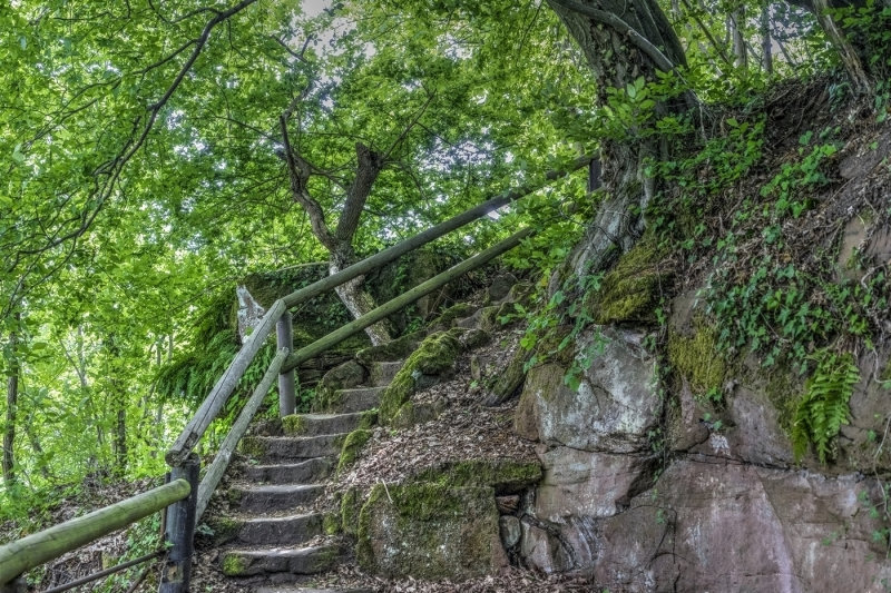 Steps to  the Ruine Limburg Abbey