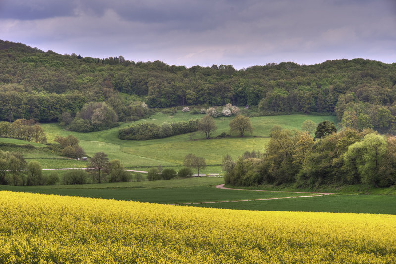 The Fields in May
