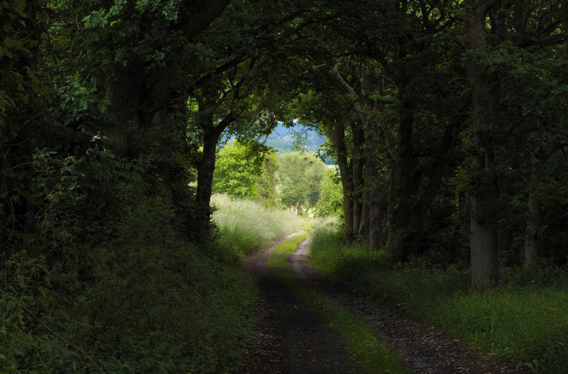 Natural Tunnel