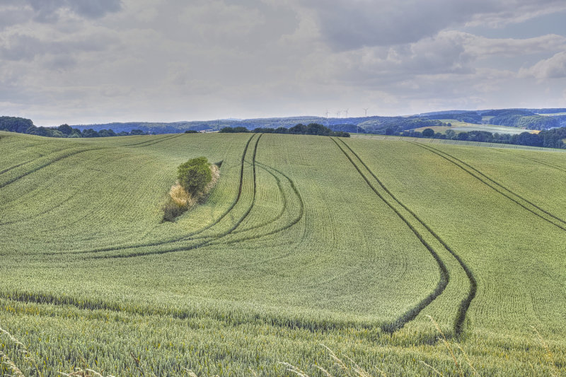 Tractor Tracks