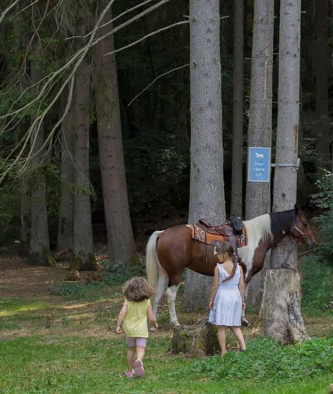 Horse Ride