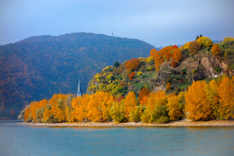 Autumn at the Rhine River
