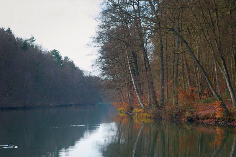 A Quiet Day at the Lake