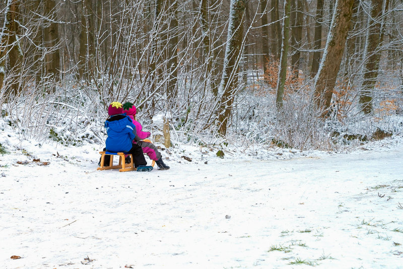 Sledding