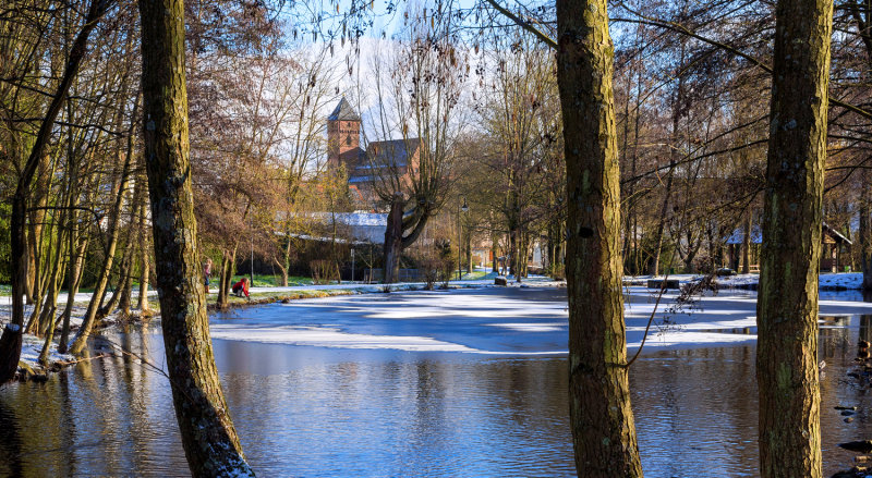 Winter at the Pond 