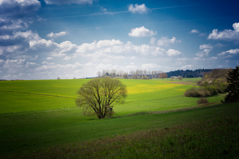 April Landscape