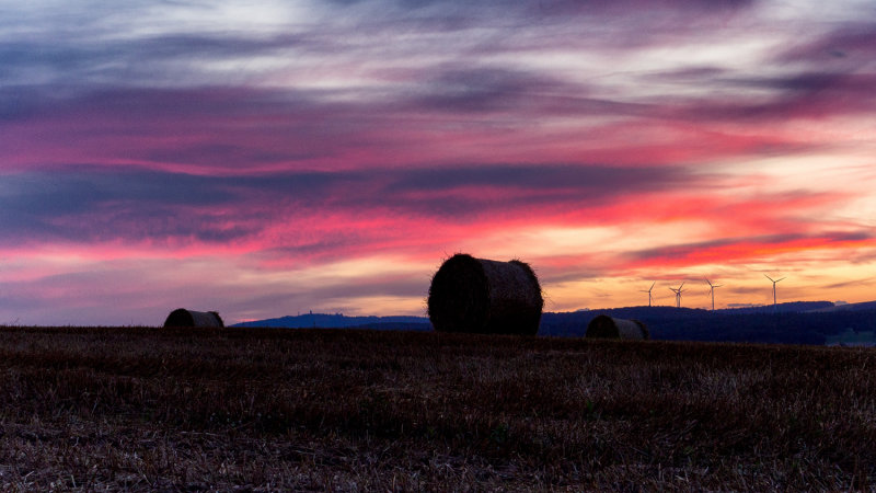 Sundown Bales