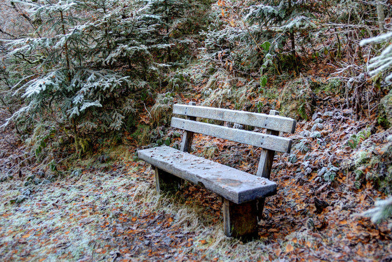 Frost Covered Bench