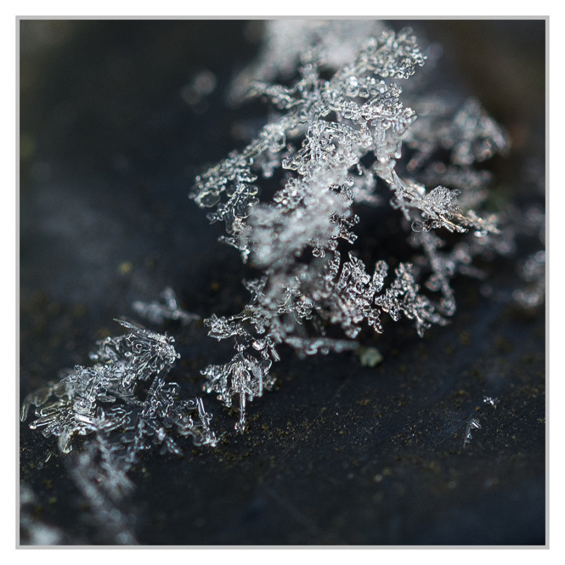 Icy Macro