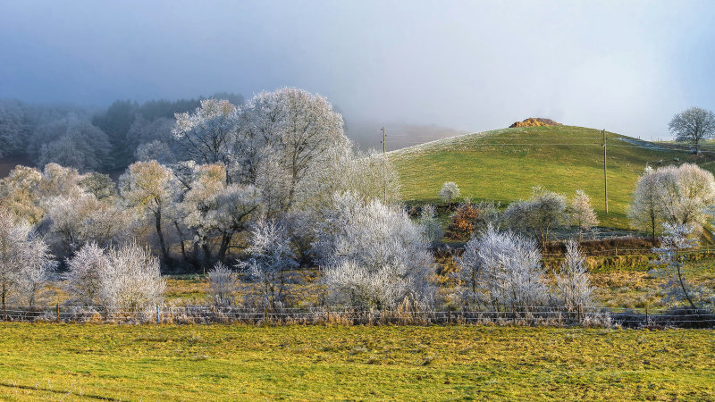 Frost in the Valley