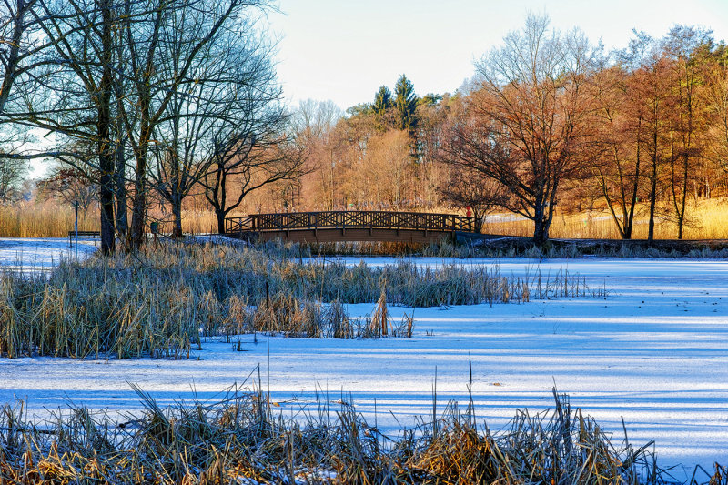 Frozen Pond 