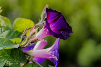 g9/80/968480/3/152635383.mWt72tbs.jpg