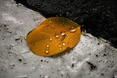 g9/80/968480/3/152844420.pGTrR3jw.jpg