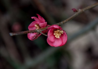 g9/80/968480/3/154823872.8JyfoPn3.jpg