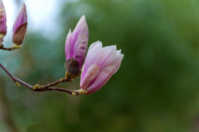 g9/80/968480/3/162965925.W16UtFXw.jpg