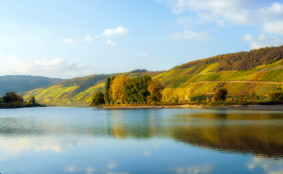 Rhine River in Fall