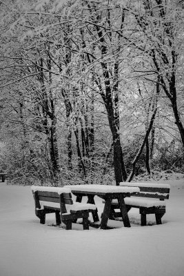 Snow Day at the Park