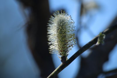 Spring is Here!