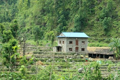 Nepalese Farm