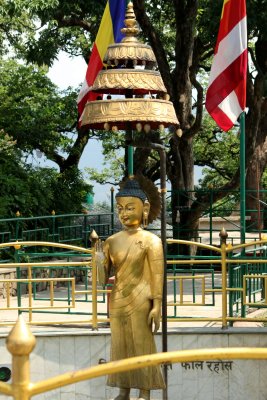 Cool Shrine on top of Hill