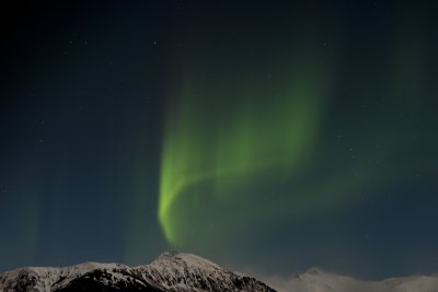01.02.2015