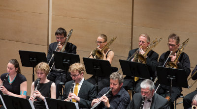 Het Groot Gelders Brahms Orkest 2014