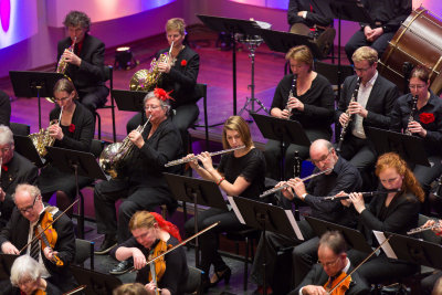 Het Groot Gelders Beethoven Orkest 2015
