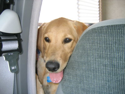 Chille on the Road.jpg