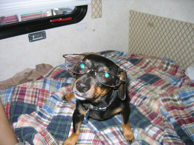 Pepper with Glasses.jpg