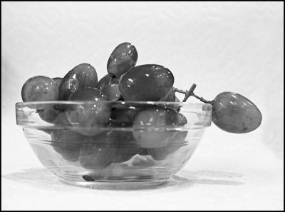 Jan 12 grapes of wrath.jpg