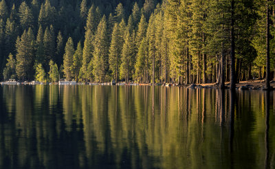 pinecrest first light pb.jpg