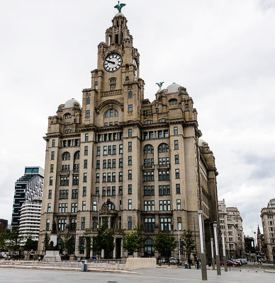 Liver Building