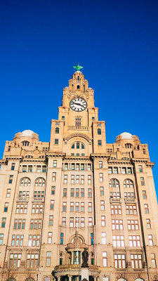 Liver Building