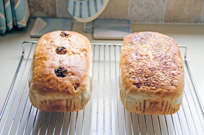 Bread