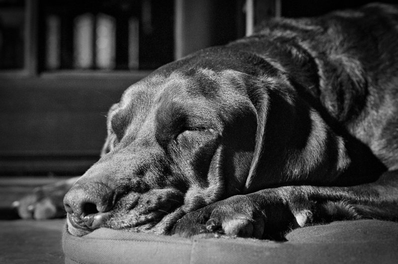 Tough Morning