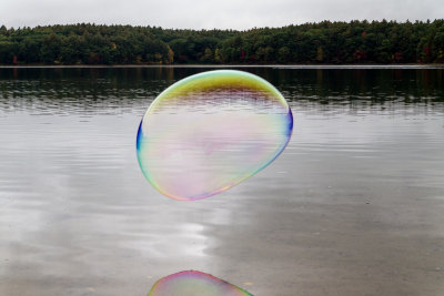 Buble on Walden Pond.jpg