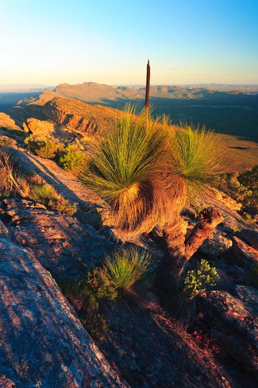 Wilpena Pound