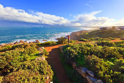 Commodore Reserve Lookout