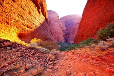 Kata Juta