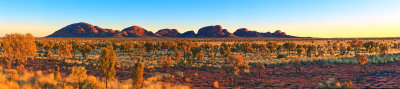 First light : Kata Juta