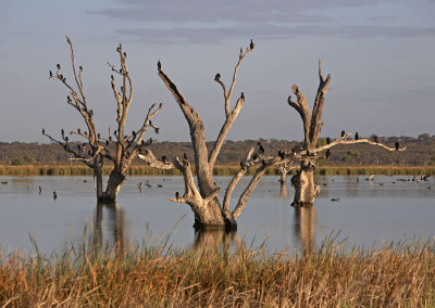 Banks of Lake Bonney_6b 8.jpg