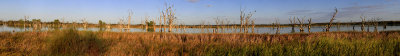 Loch Luna Reserve pano.jpg