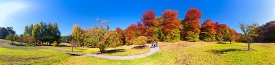Mt Lofty Botanical Gardens