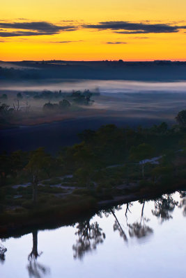 Murray River Sunrise