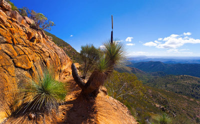 Northern Flinders Ranges and the ABC Range.