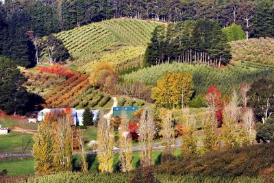 Forest Range Road, Adelaide Hills