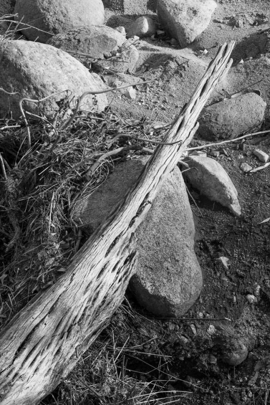 Desert Drift Wood