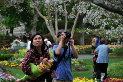 Dallas Arboretum