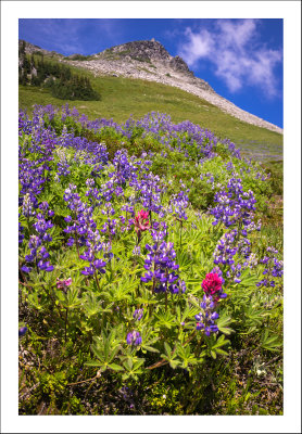 2013_Summerland_Hike-53_web.jpg